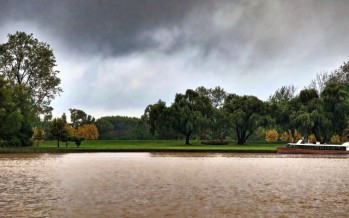 El delta del Paraná aporta beneficios por US$ 3000 millones anuales