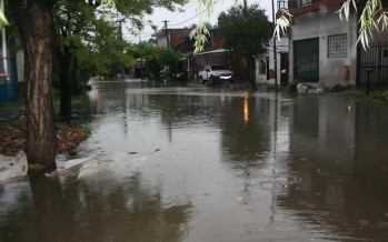 El temporal dejó inundación, cortes de luz y caída de árboles