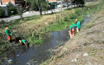 La cooperativa Rocío informa sobre los trabajos de limpieza que realizan en la ciudad