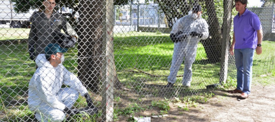 El Municipio comenzó a realizar trabajos de desratización en las industrias de San Fernando