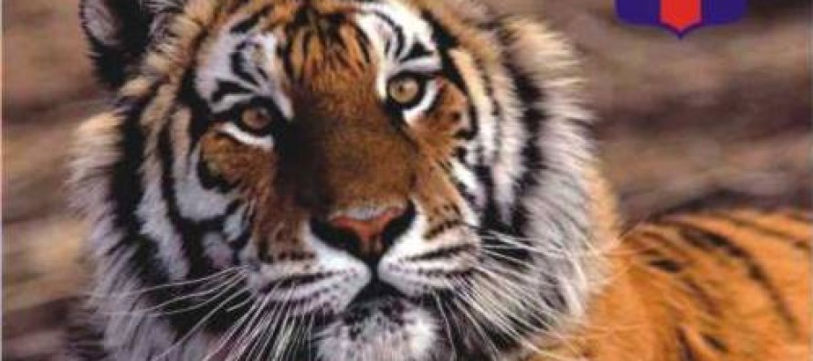 Se presentará el libro “Tigre locura y pasión” de Carlos Trivarelli