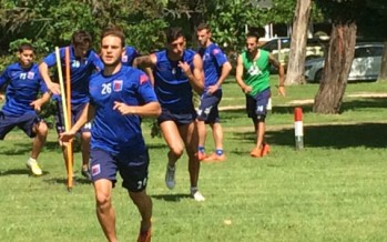 Tigre trabaja en busca de la recuperación