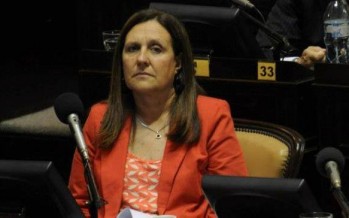 Nocito: “Andreotti se suma al coro de voceros de Massa como un chirolita”