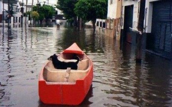 Andreotti confirmó la muerte del joven del barrio San José