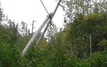 Vecinos del Delta denuncian falta de mantenimiento e inversión por parte de EDENOR