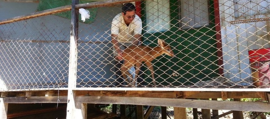 Rescatan Ciervo de los Pantanos en el Arroyo Vico y decomisan carne de esta especie en Campana