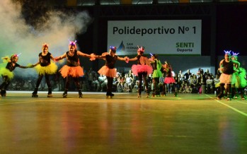 Se realizó la “Gala de Patín 2014” en el Polideportivo N° 1