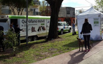 El Quirófano Móvil de Zoonosis nuevamente en Virreyes