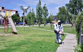 Programa de Prevención del Dengue, en Villa Jardín