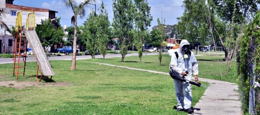 Programa de Prevención del Dengue, en Villa Jardín