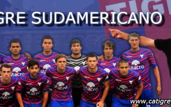 Un Tigre en la Sudamericana