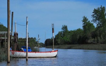 Muerte y misterio en el Delta