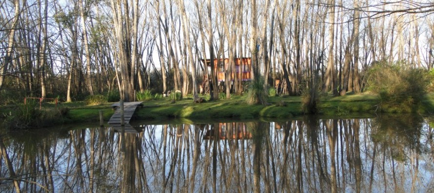 Voz marrón (Pablo Chihade)