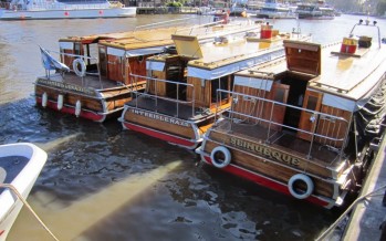 Al mediodía se realiza la marcha isleña en la Estación Fluvial de Tigre