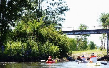 Río Luján: crónica de una navegación de 22 kilómetros