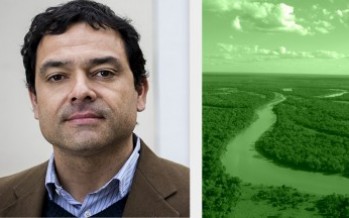 Volver al territorio