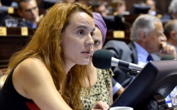 Casos de femicidios ocuparon el centro del debate en diputados de la Provincia