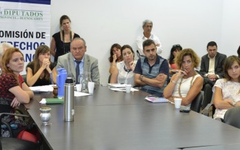 La Comisión de DDHH de Diputados provinciales se reunió con familiares de victimas de femicidio
