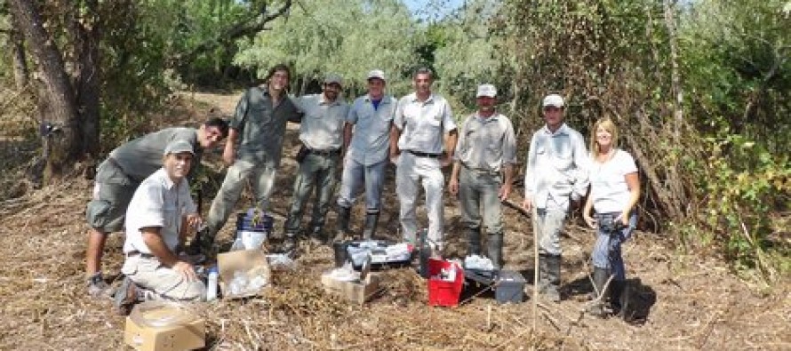 Rescatan un ciervo herido de los pantanos