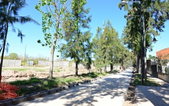Avanza la obra del nuevo ‘Boulevard Los Pinos’ en Victoria