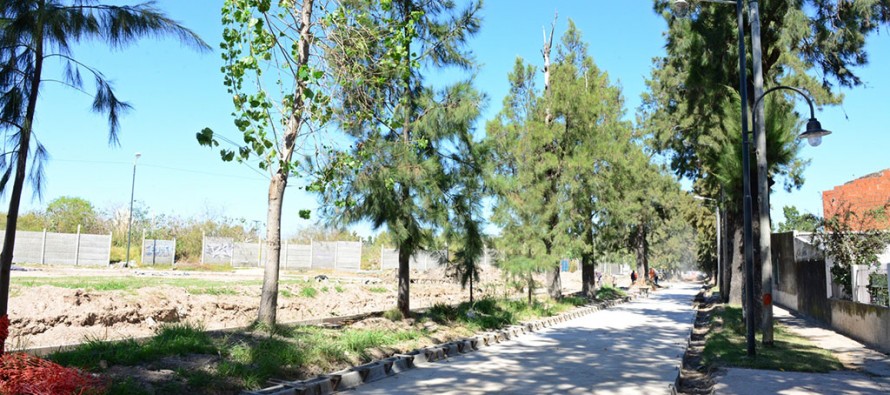 Avanza la obra del nuevo ‘Boulevard Los Pinos’ en Victoria