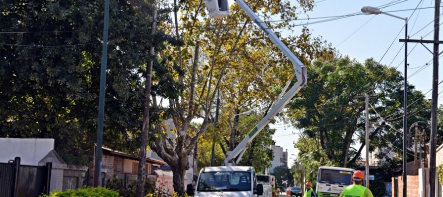 Se sumaron tres nuevos camiones para realizar el Plan de Poda