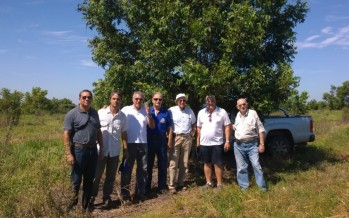 Visita de productores de Brasil a técnicos de pecán en el Delta