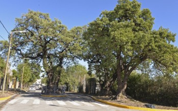 Asfaltaron la calle Estrada
