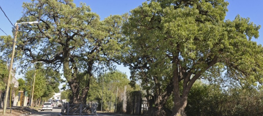 Asfaltaron la calle Estrada