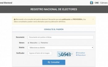 Ya se pueden consultar los padrones provisorios para las elecciones primarias