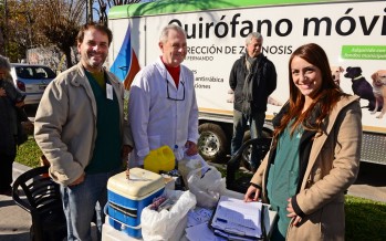 El Quirófano Móvil de Zoonosis estará esta semana en Virreyes, Crisol y en el ingreso a la costanera