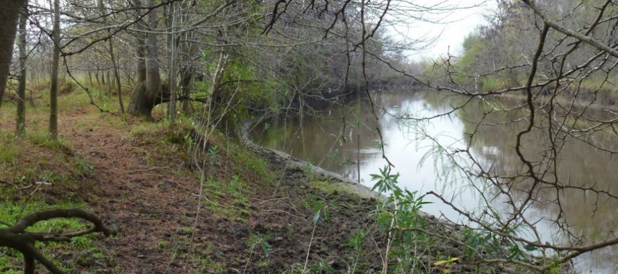 Comisión Asesora del Comité de Cuenca del Río Luján cuestiona las obras de limpieza