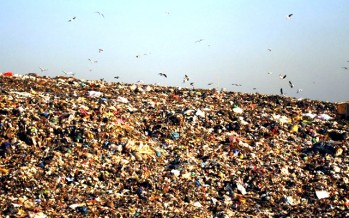 San Fernando está entre los primeros diez municipios que generan más basura por habitante