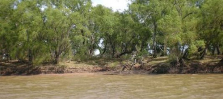 Preocupación por la continuidad de la Biósfera Delta del Paraná