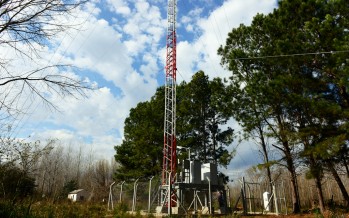 Se instalaron nuevas antenas de telefonía en el Delta