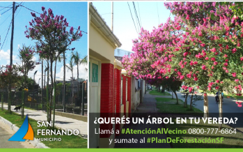 Los vecinos pueden solicitar la plantación de árboles en la puerta de su casa