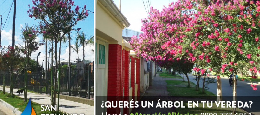 Los vecinos pueden solicitar la plantación de árboles en la puerta de su casa