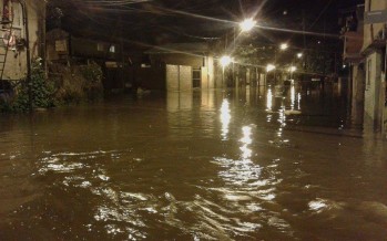 Sudestada: Cáritas Aránzazu, el Club San Fernando y la Biblioteca Madero reciben donaciones