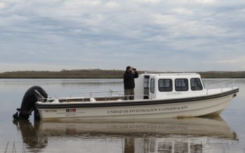 Primeros resultados de un relevamiento de biodiversidad en el Delta