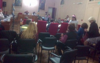 Campana se convirtió en el primer municipio en aprobar una ordenanza para proteger los humedales del río Luján
