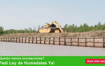 Campaña para la sanción de la ley que protege los humedales