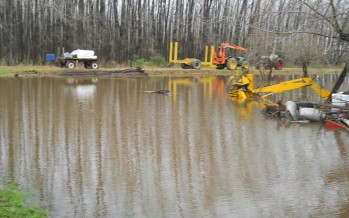 La provincia declaró la emergencia agropecuaria para el Delta de San Fernando