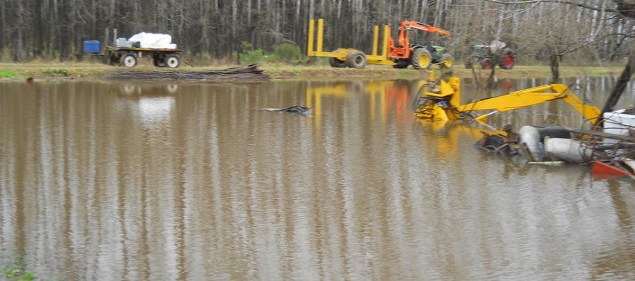 La provincia declaró la emergencia agropecuaria para el Delta de San Fernando