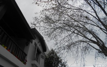 Se solucionó el reclamo de la vecina difundido por este portal