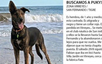Llamado a la solidaridad: buscan a Puky