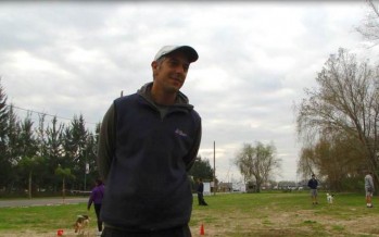 Taller de adiestramiento canino, un espacio de vínculo entre perros y guías