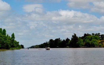 El Delta poético: un refugio natural para la literatura