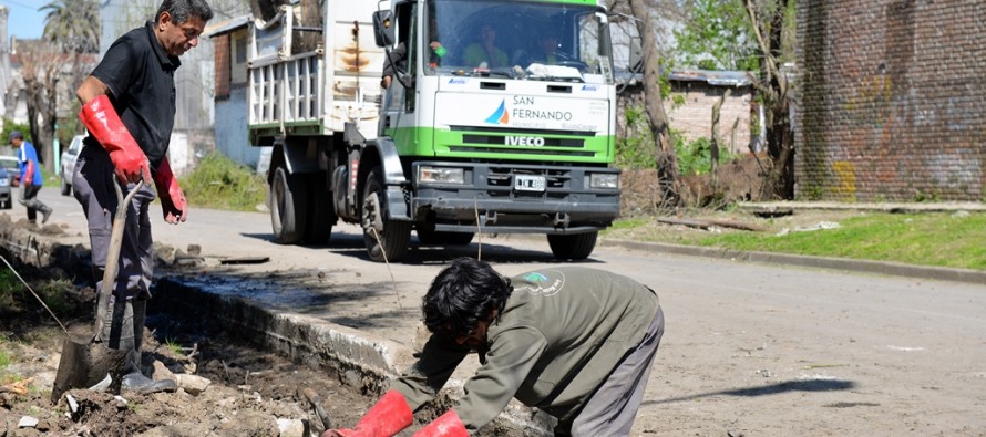 Limpieza de conductos, despeje de luminarias y nuevos desagües en el barrio Alsina