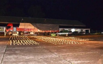Hallan más de 700 kilos de marihuana en un camión con maderas con destino a San Fernando