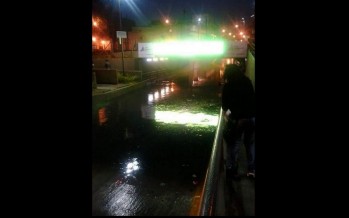 La foto